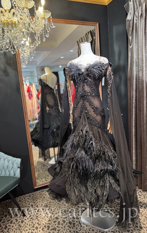 【1月16日までSALE！】OT142・【石渡ありさ】ブラックスワン【IBAN SALGADO】 イメージ