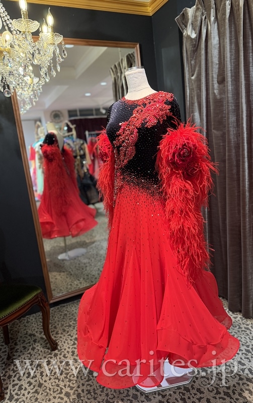 SD489・レッド&ブラック・SERENE イメージ